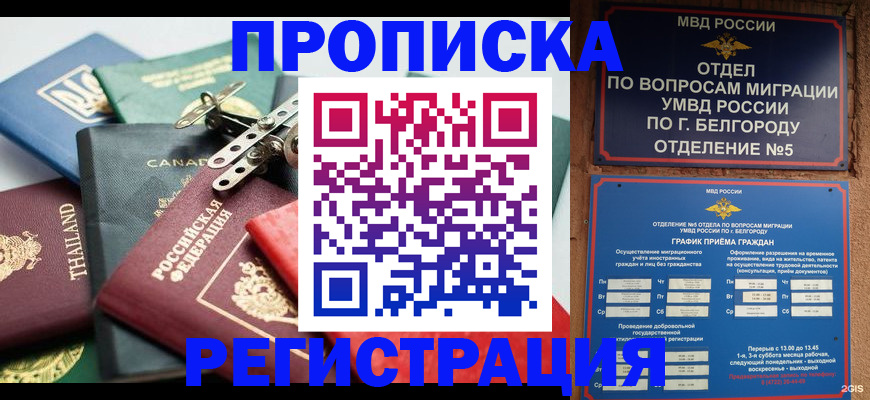 временная регистрация недорого в Кеми